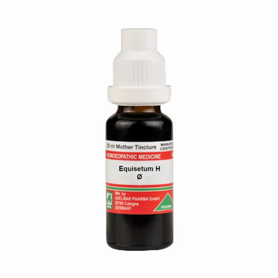 ADEL Equisetum H Mother Tincture Q
