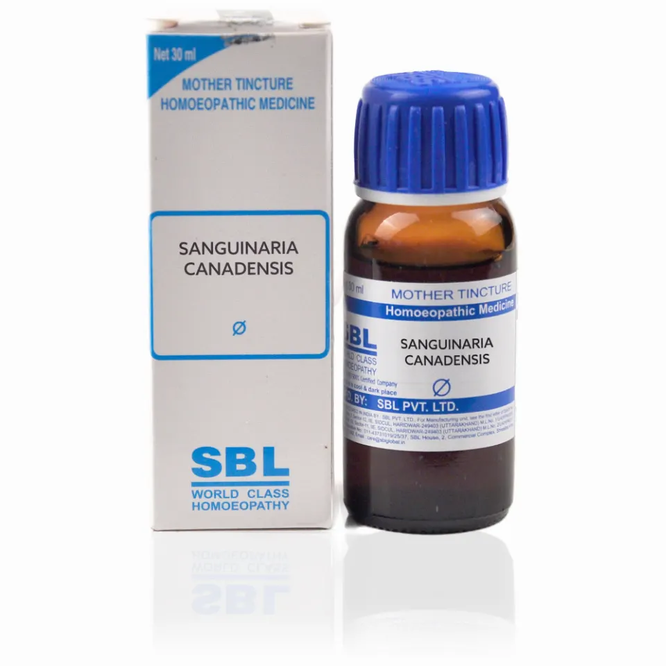 SBL Sanguinaria Canadensis 1X (Q) (30ml)