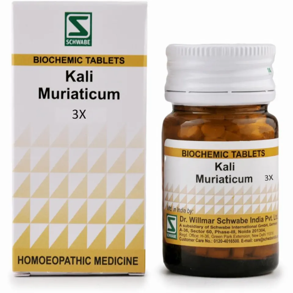 Willmar Schwabe India Kali Muriaticum 3X (20g)