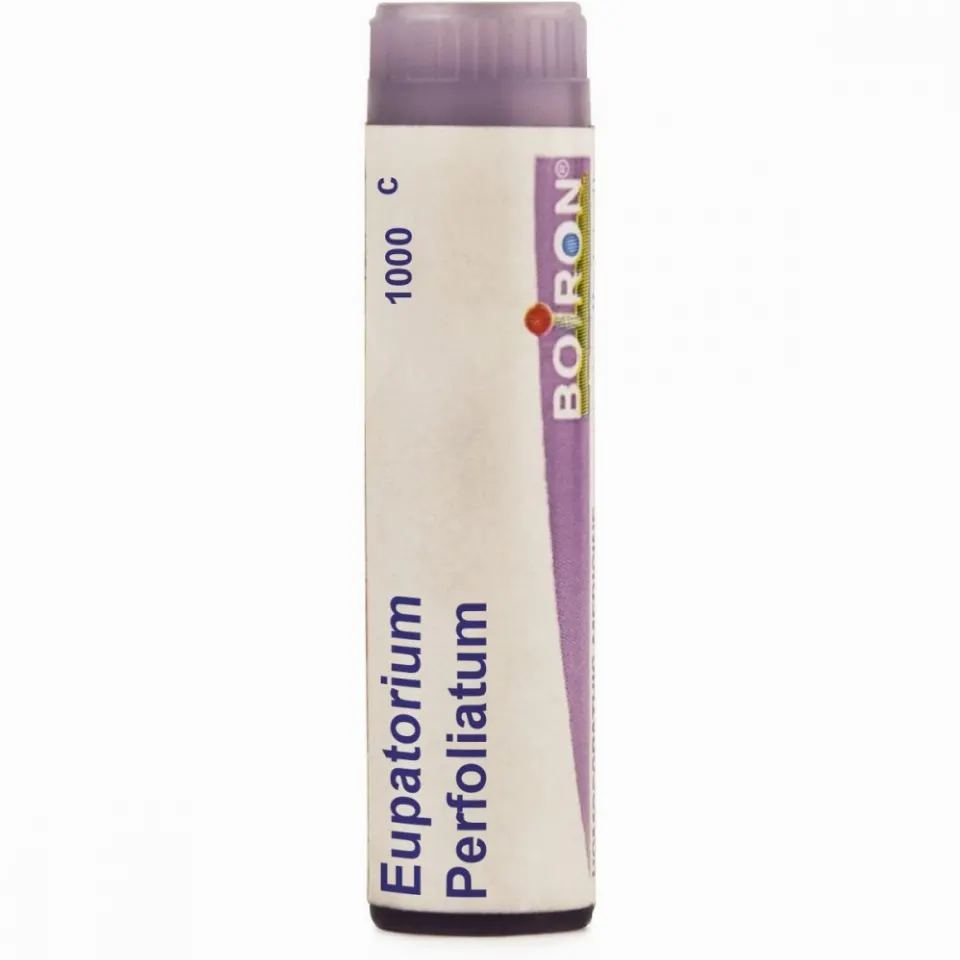 Boiron Eupatorium Perfoliatum Multi Dose Pellets 1000 CH (4g)