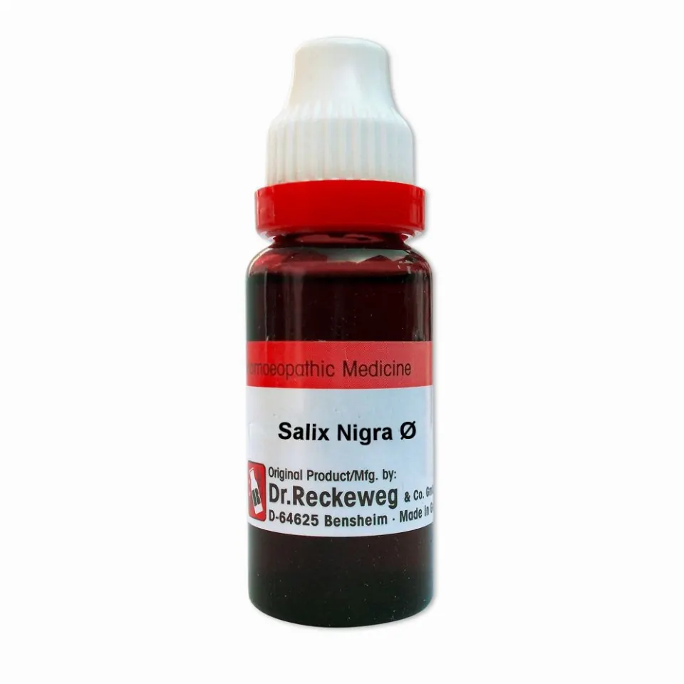 Dr. Reckeweg Salix Nigra 1X (Q) (20ml)