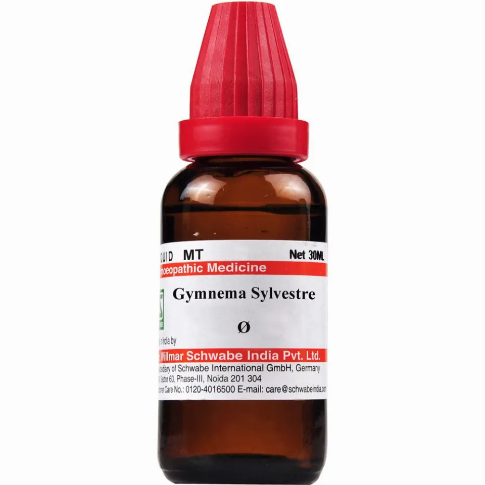 Willmar Schwabe India Gymnema Sylvestre 1X (Q) (30ml)