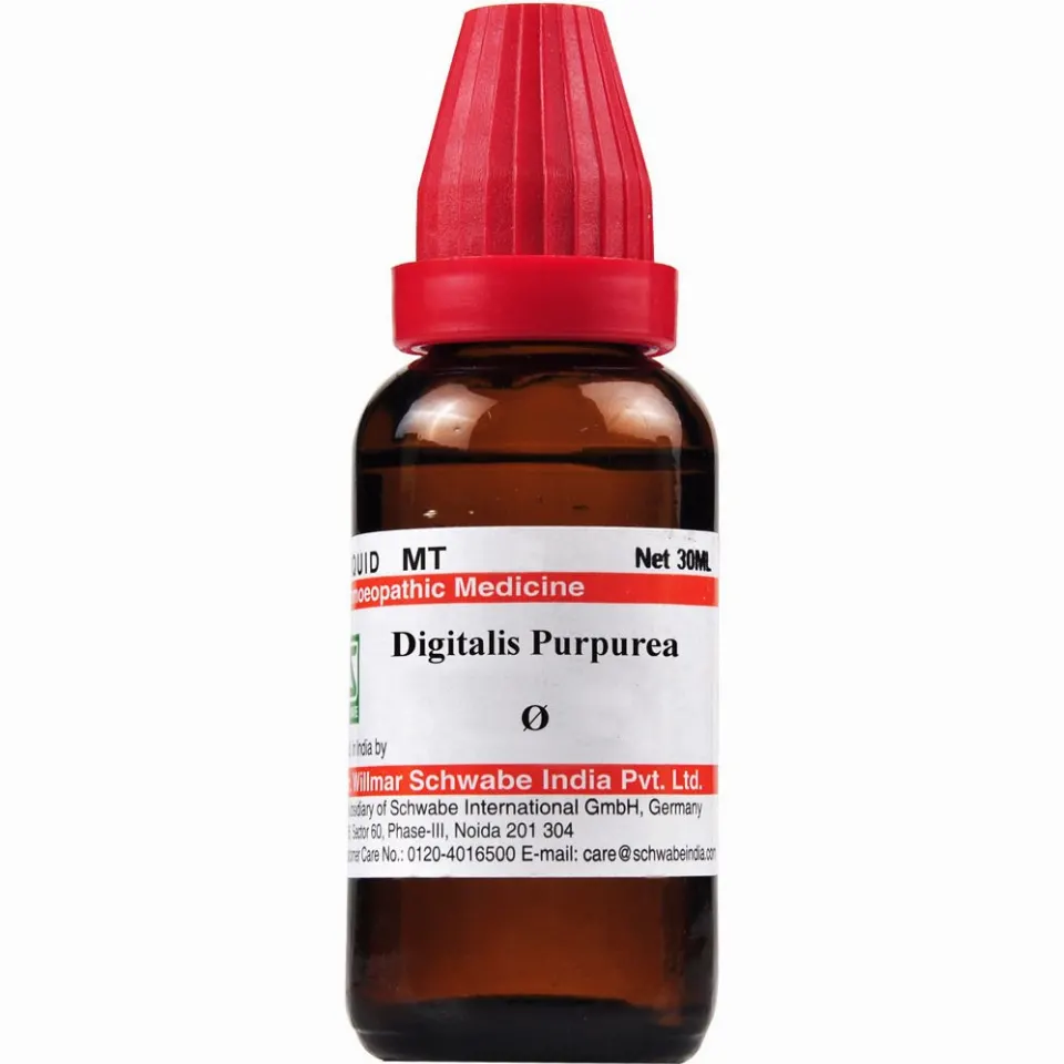 Willmar Schwabe India Digitalis purpurea 1X (Q) (30ml)