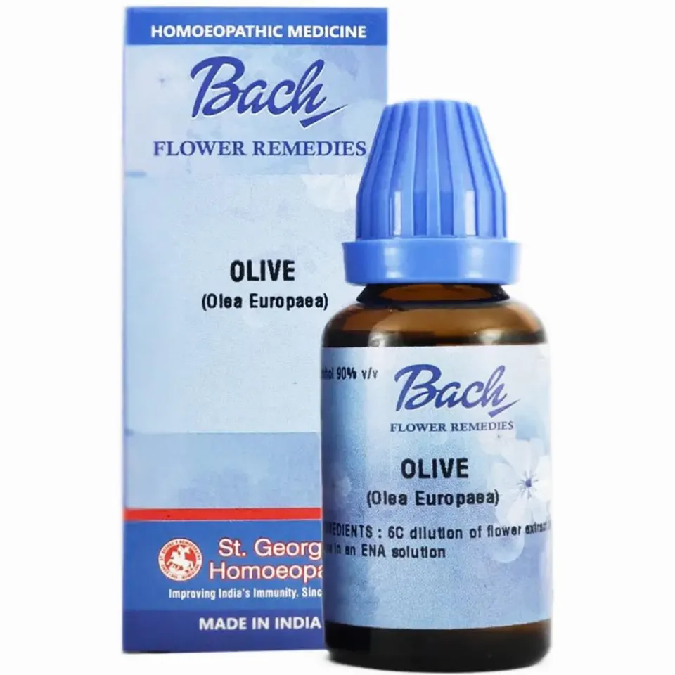 St. George Bach Flower Olive (30ml)