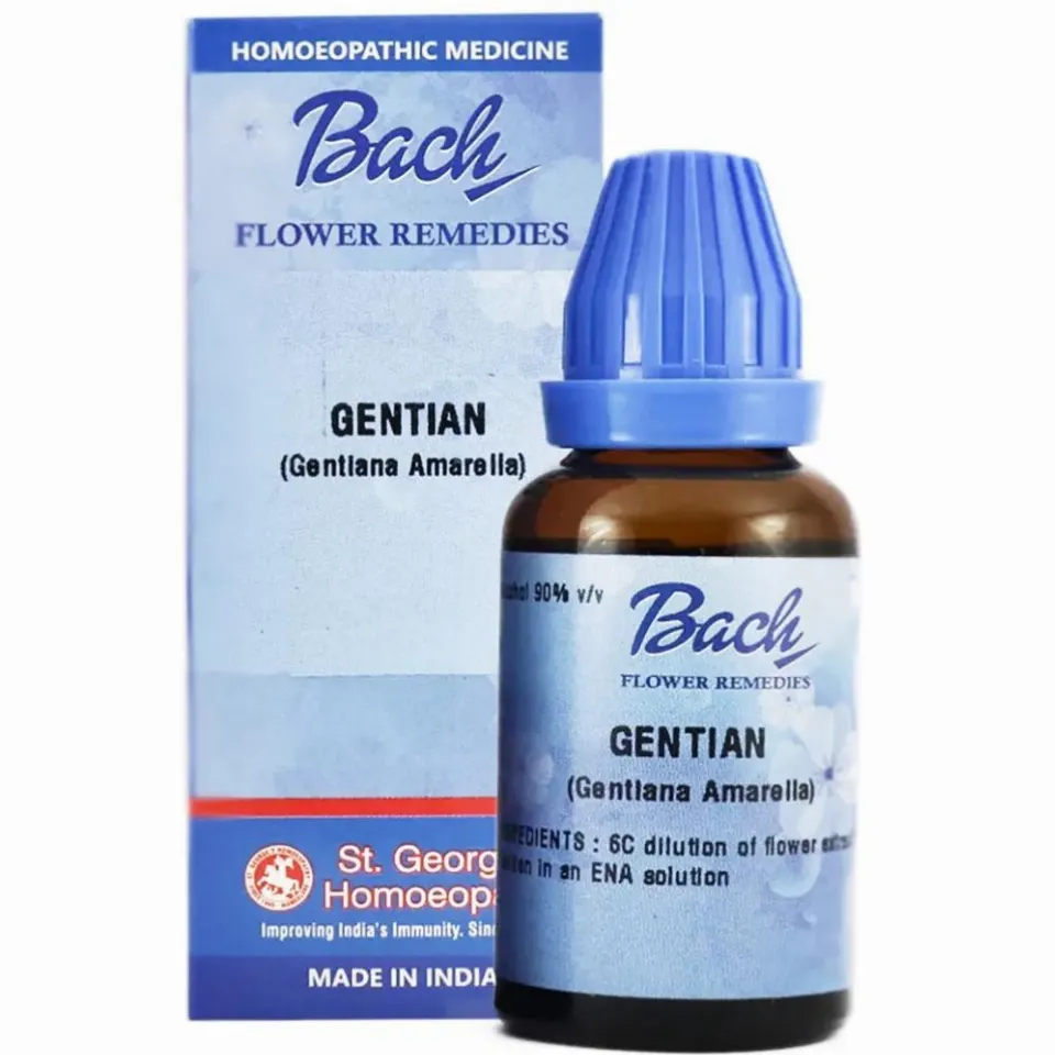 St. George Bach Flower Gentian (30ml)