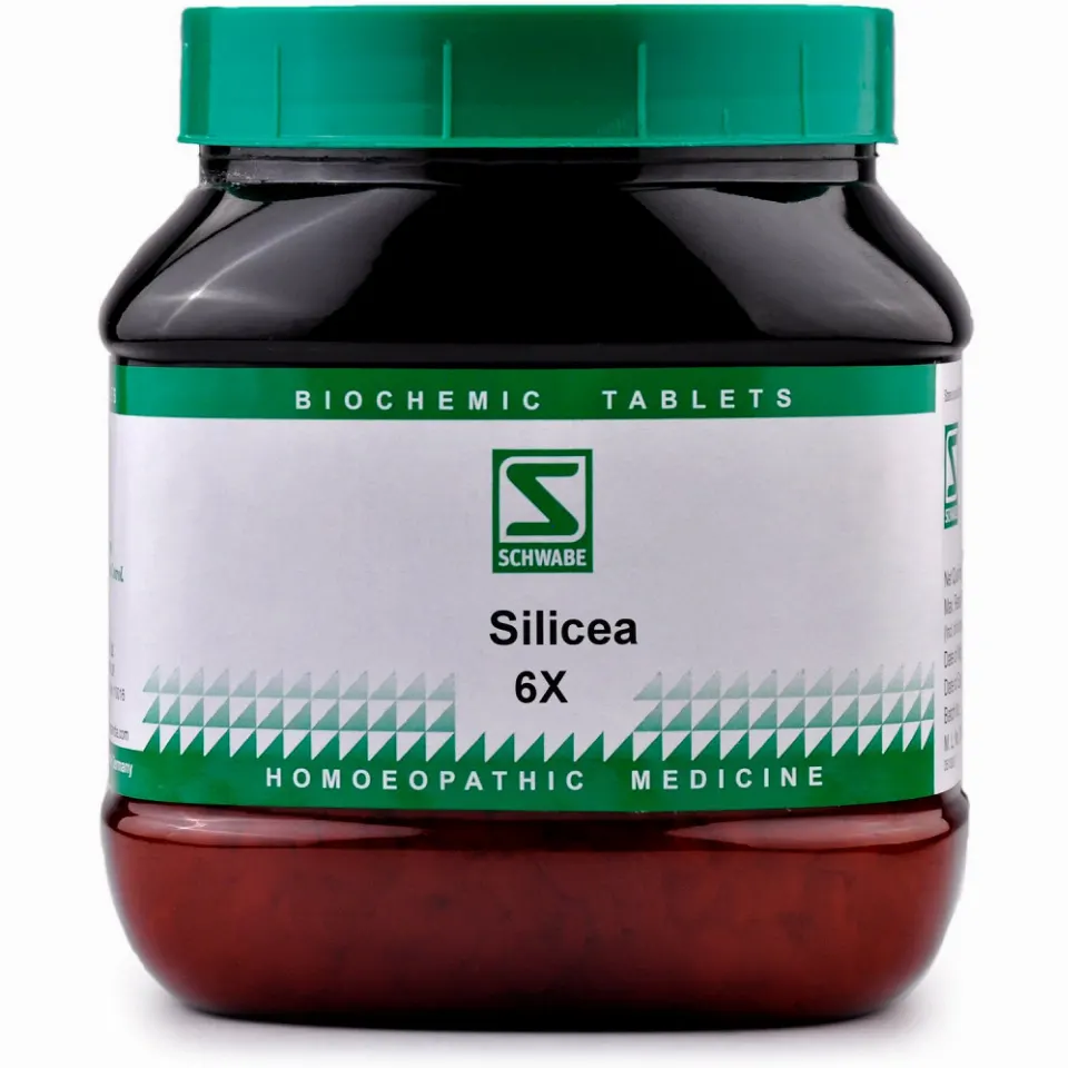 Willmar Schwabe India Silicea 6X (550g)