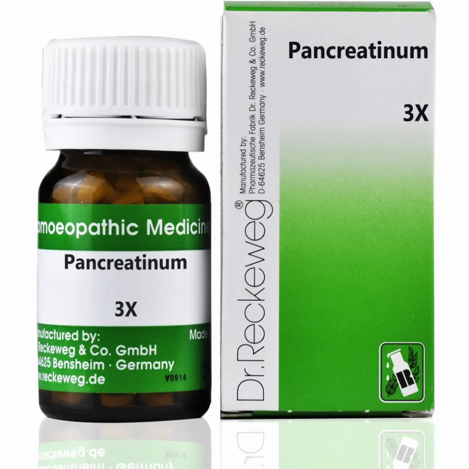Dr. Reckeweg Pancreatinum 3X (20g)