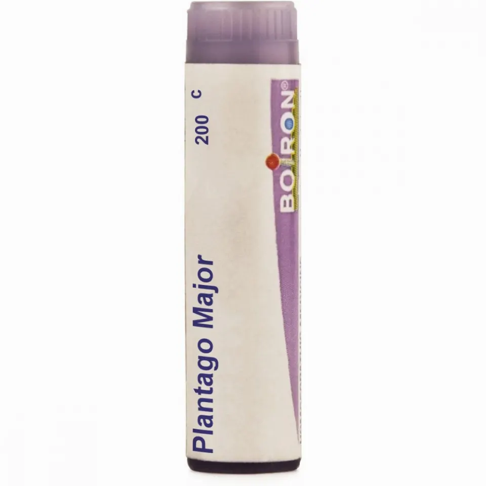 Boiron Plantago Major Multi Dose Pellets 200 CH (4g)