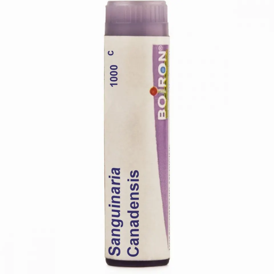 Boiron Sanguinaria Canadensis Multi Dose Pellets 1000 CH (4g)