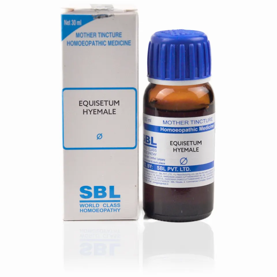 SBL Equisetum Hyemale 1X (Q) (30ml)
