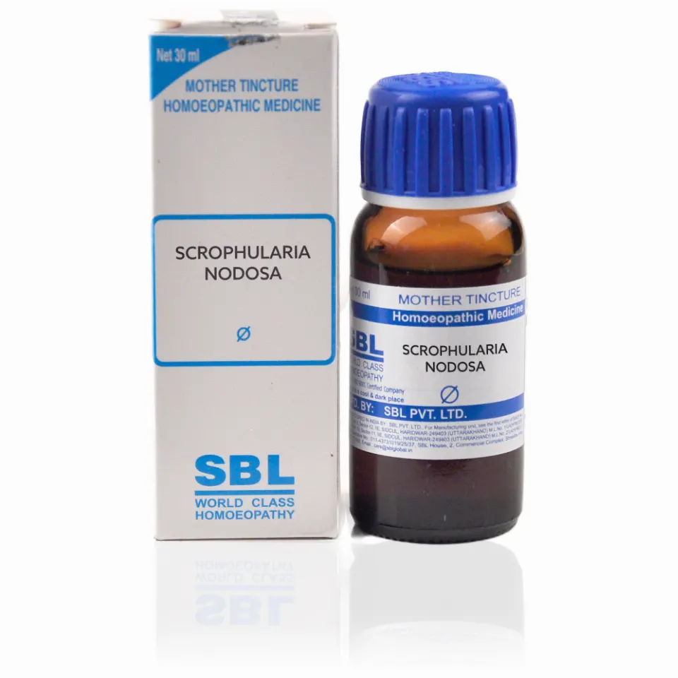 SBL Scrophularia Nodosa 1X (Q) (30ml)