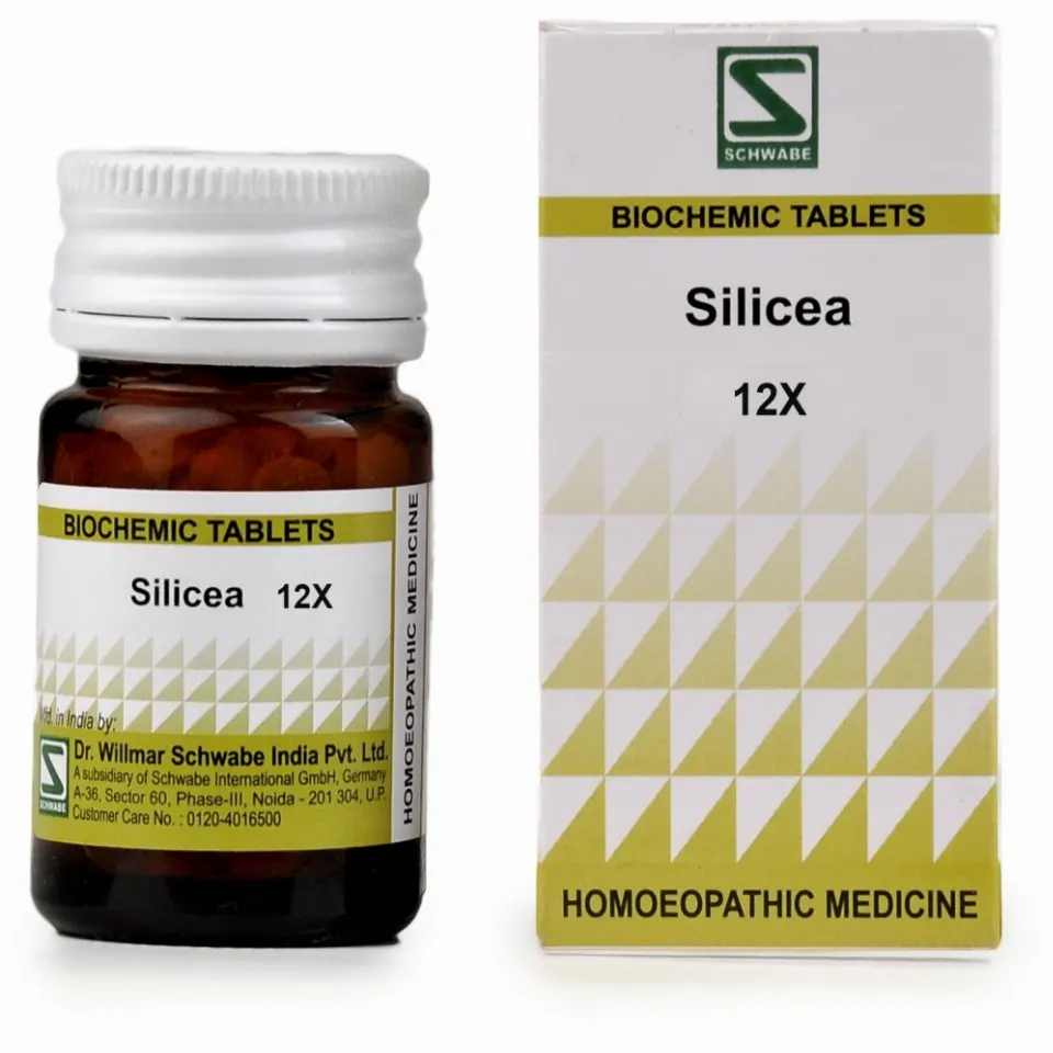 Willmar Schwabe India Silicea 12X (20g)